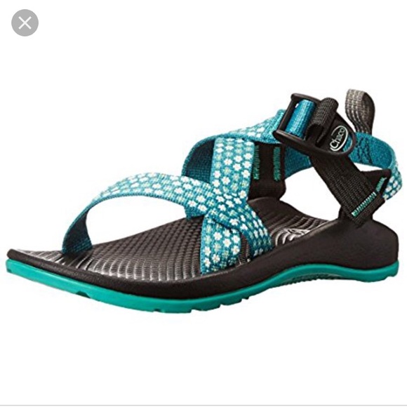 teal chacos
